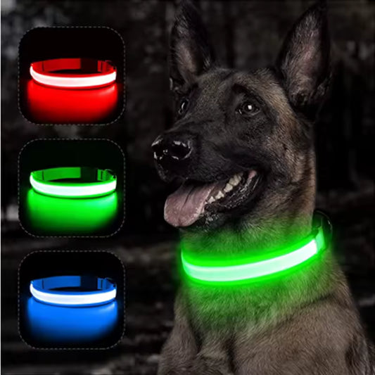 Glow Getter LED Dog Collar — Light Up Night Walks