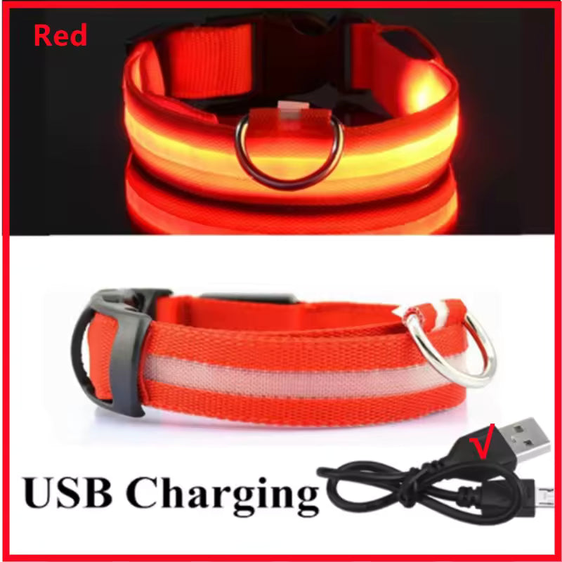 Glow Getter LED Dog Collar — Light Up Night Walks
