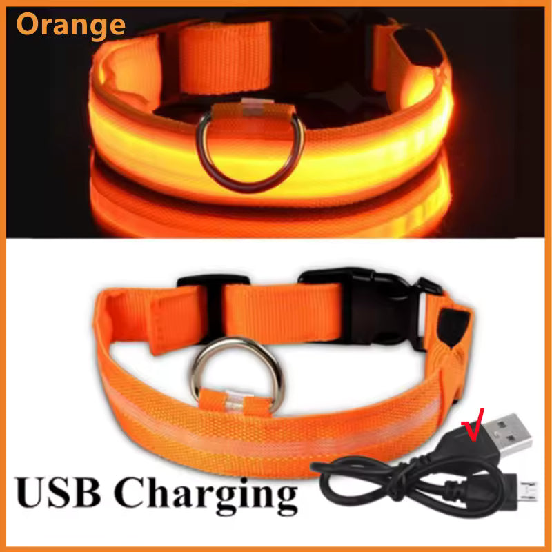 Glow Getter LED Dog Collar — Light Up Night Walks