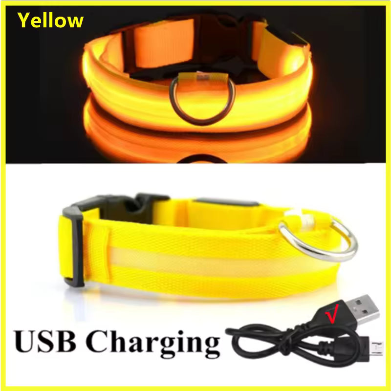 Glow Getter LED Dog Collar — Light Up Night Walks