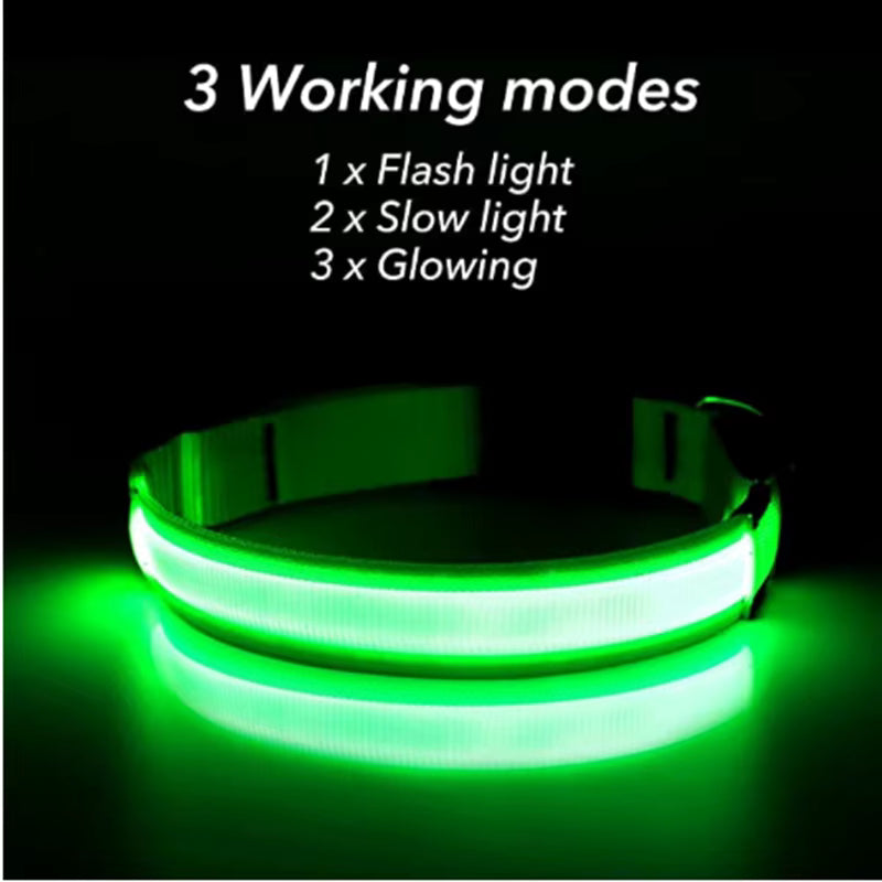 Glow Getter LED Dog Collar — Light Up Night Walks