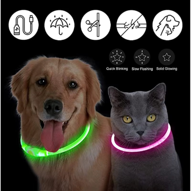 Glow Getter LED Dog Collar — Light Up Night Walks