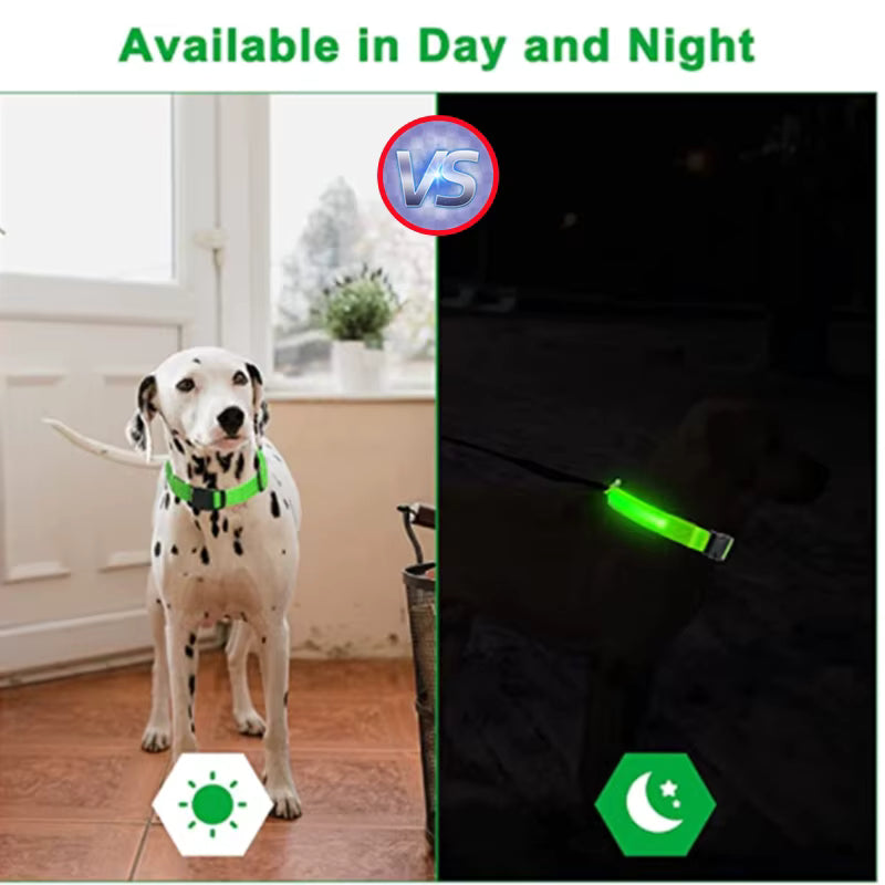Glow Getter LED Dog Collar — Light Up Night Walks