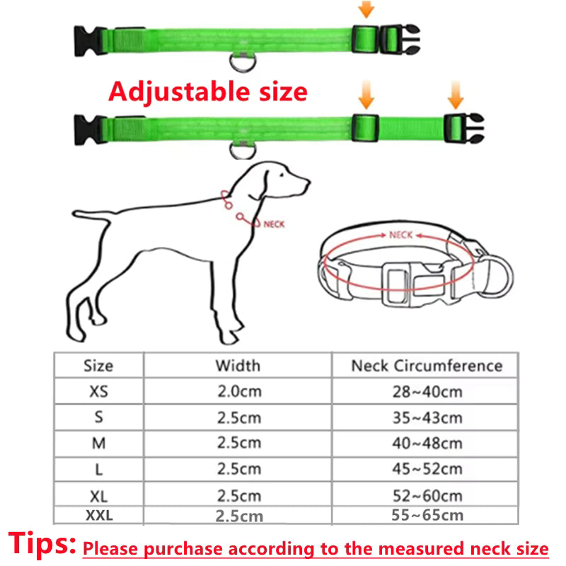 Glow Getter LED Dog Collar — Light Up Night Walks
