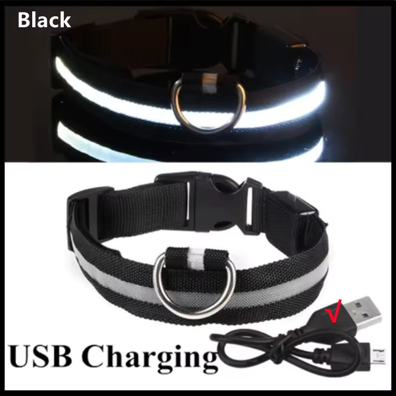 Glow Getter LED Dog Collar — Light Up Night Walks