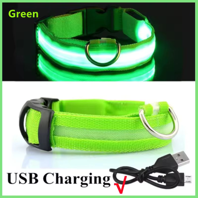 Glow Getter LED Dog Collar — Light Up Night Walks