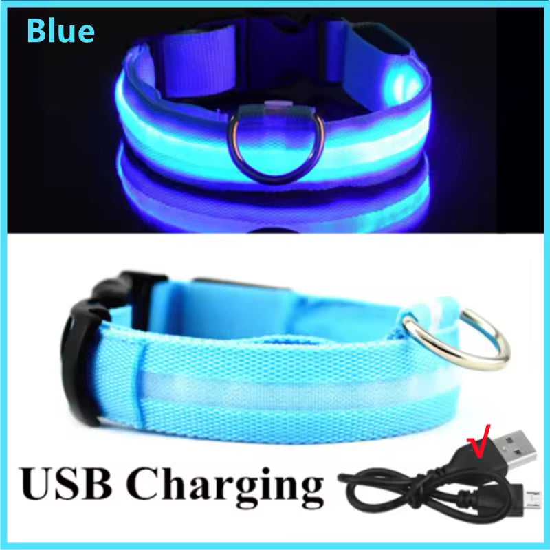 Glow Getter LED Dog Collar — Light Up Night Walks