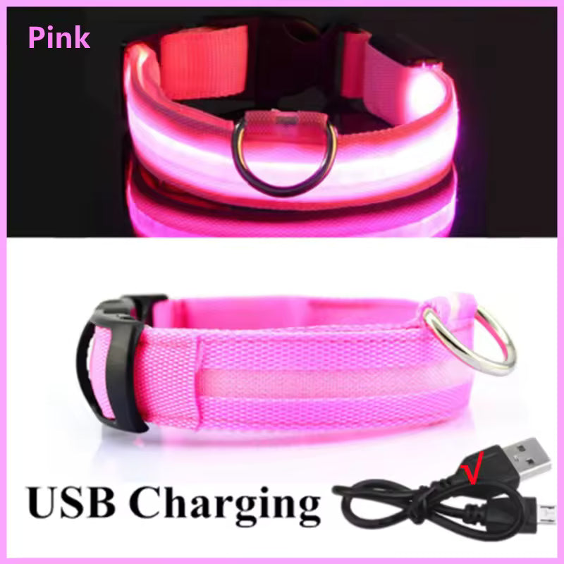 Glow Getter LED Dog Collar — Light Up Night Walks